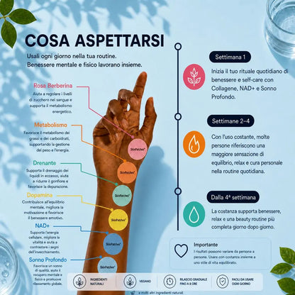 Kit Reset Totale Mente & Metabolismo