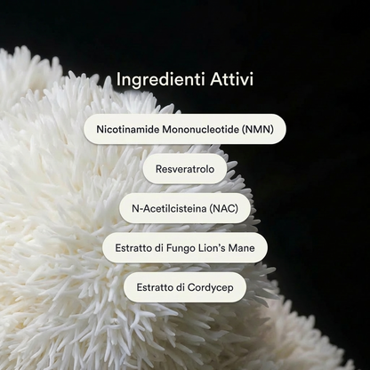 Skim Patches – Cerotti NAD+ Anti Età