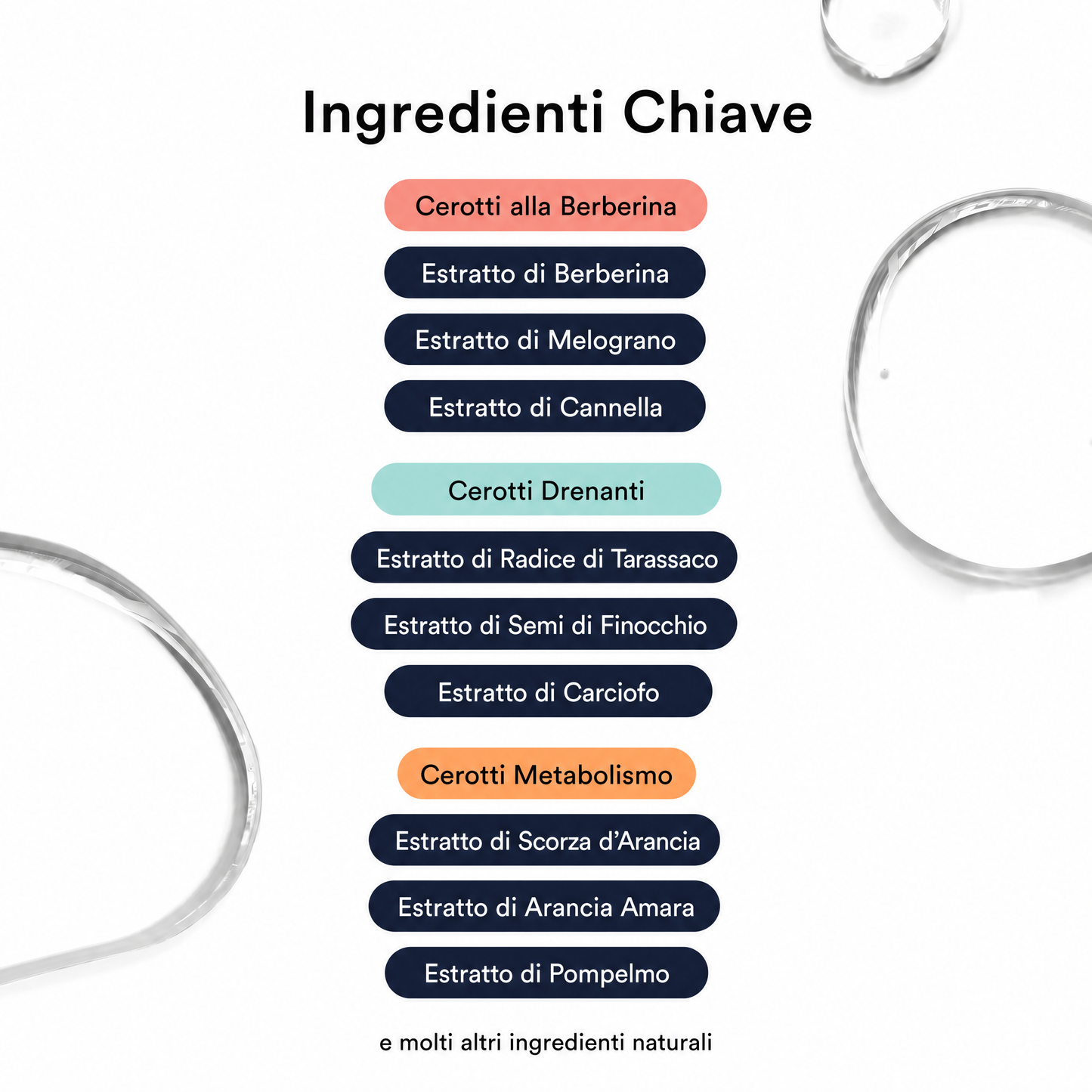 Kit Attiva Metabolismo
