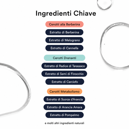 Kit Attiva Metabolismo
