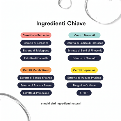 Kit Energia & Metabolismo