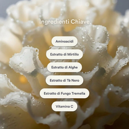 Skim Patches – Cerotti al Collagene