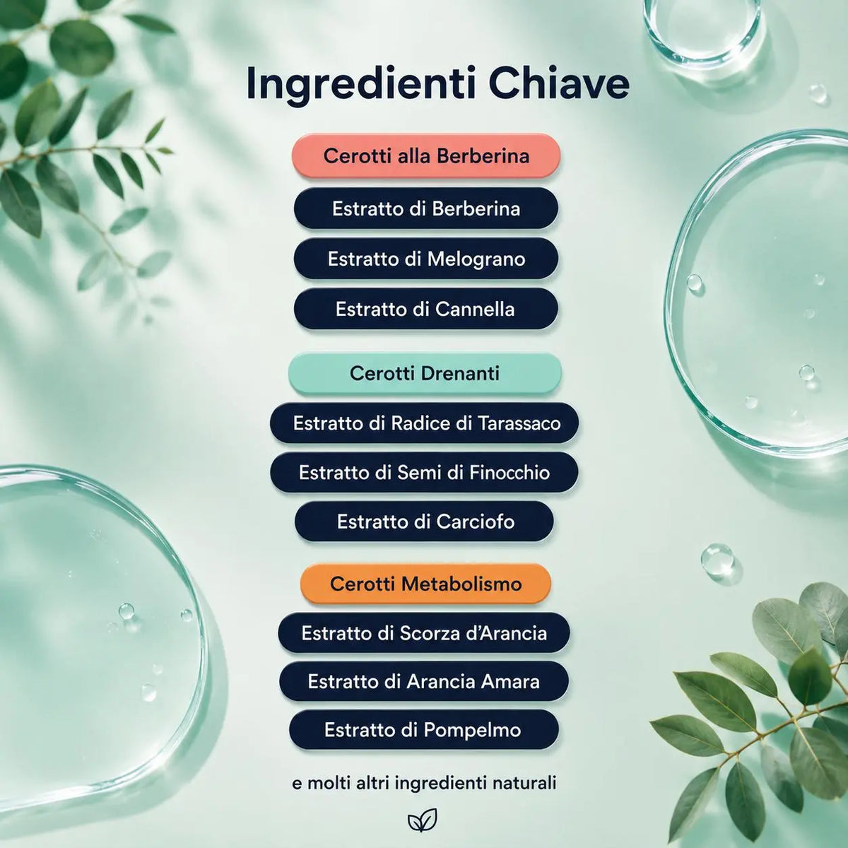 Kit Attiva Metabolismo