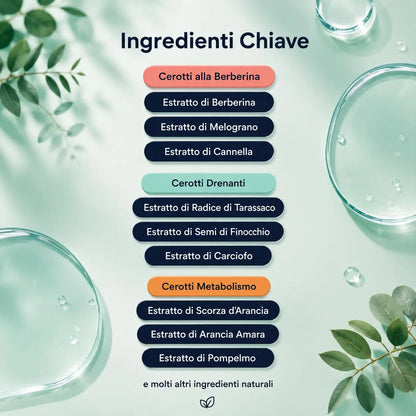 Kit Attiva Metabolismo