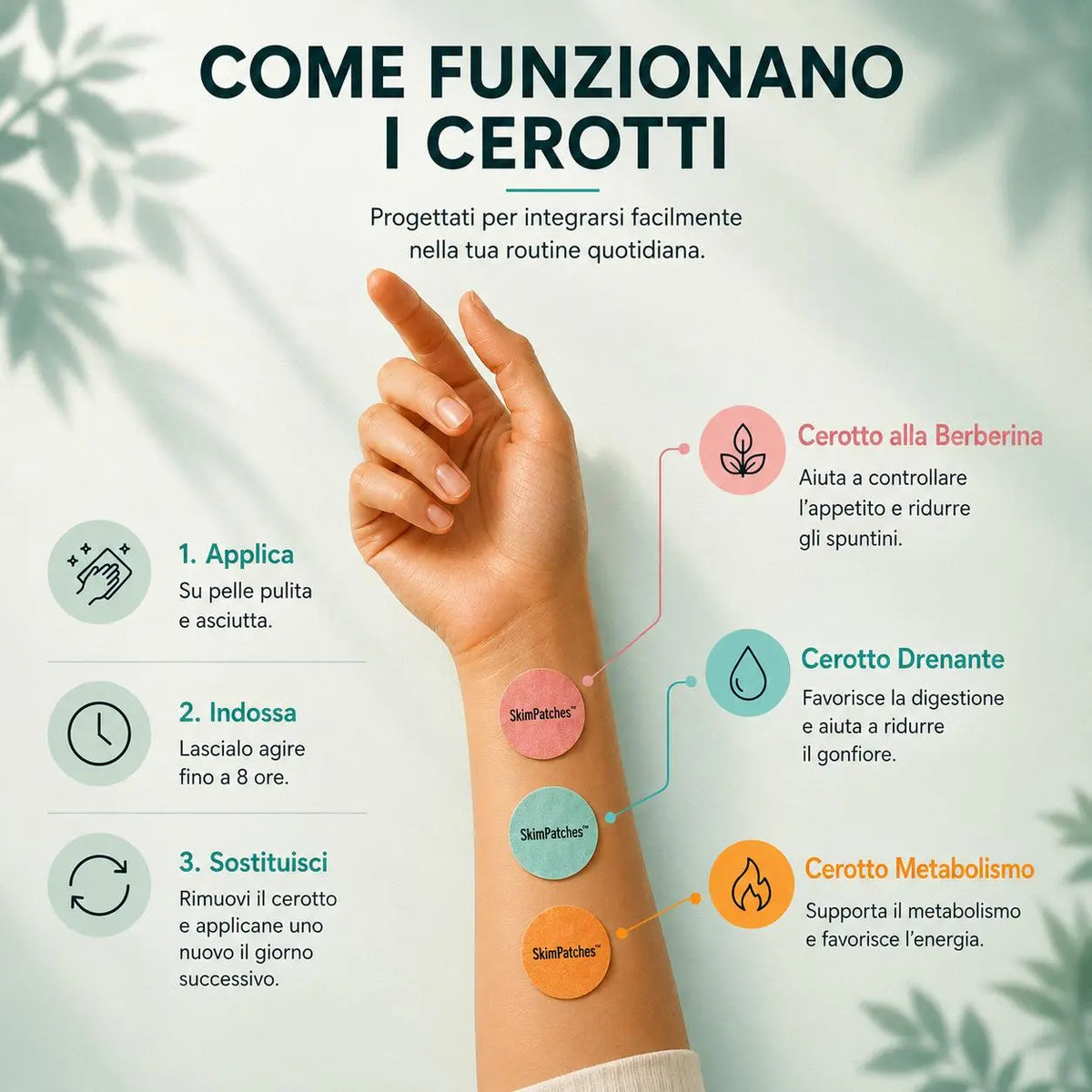 Kit Attiva Metabolismo