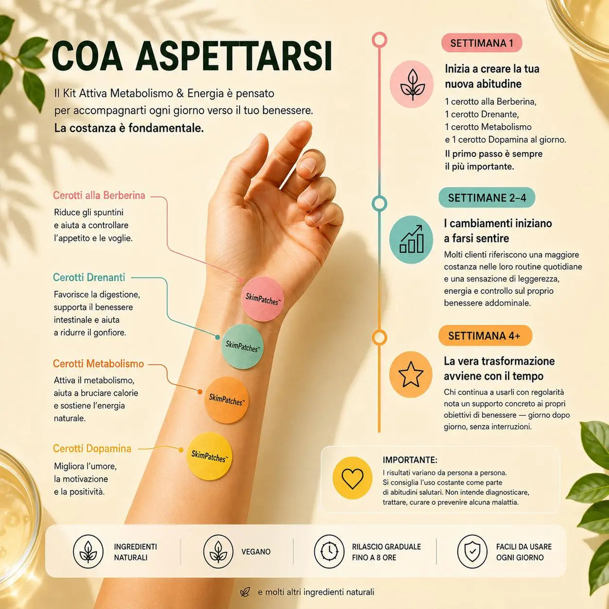 Kit Energia & Metabolismo